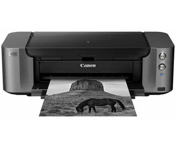 Замена памперса на принтере Canon PRO-10S в Краснодаре
